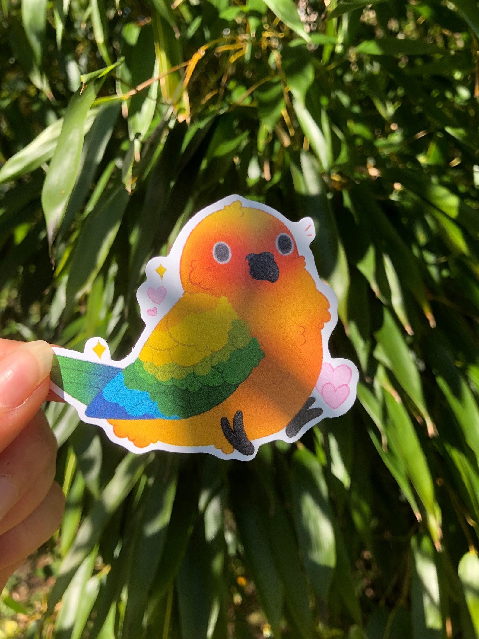 Sun Conure Sticker Cute Kawaii Borb Birb Sticker Hand Made Gift Pet ...