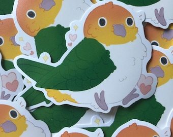 Caique Parrot sticker cute kawaii borb birb sticker hand made gift pet birds sticker vinyl sticker caique parrot gift