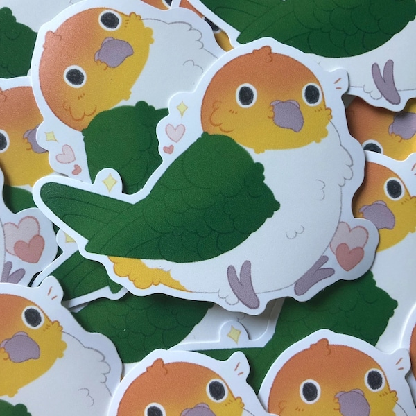 Caique Parrot sticker cute kawaii borb birb sticker hand made gift pet birds sticker vinyl sticker caique parrot gift