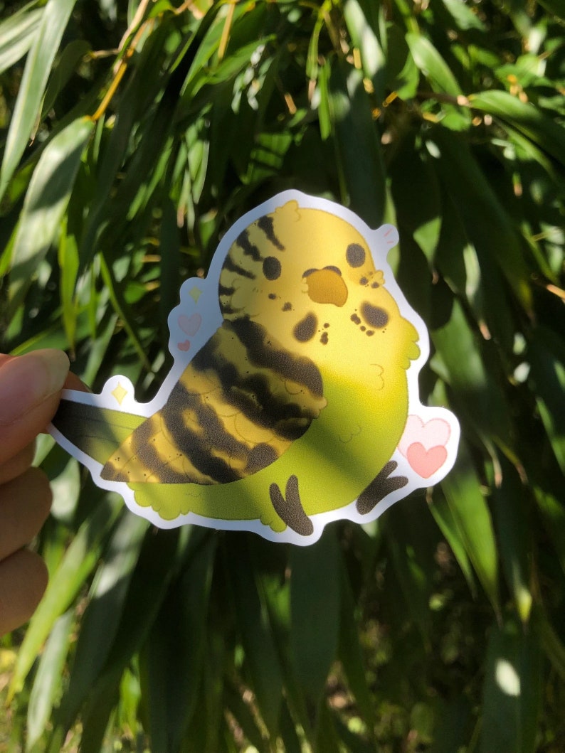 Budgie Sticker Cute Kawaii Borb Birb Sticker Hand Made Gift Pet Birds ...