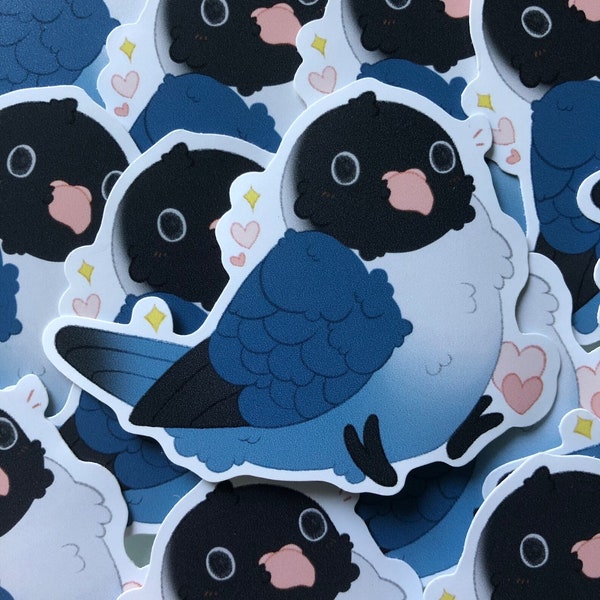 Love bird stickers cute kawaii borb birb sticker hand made gift pet birds sticker vinyl sticker blue love bird parrot gift