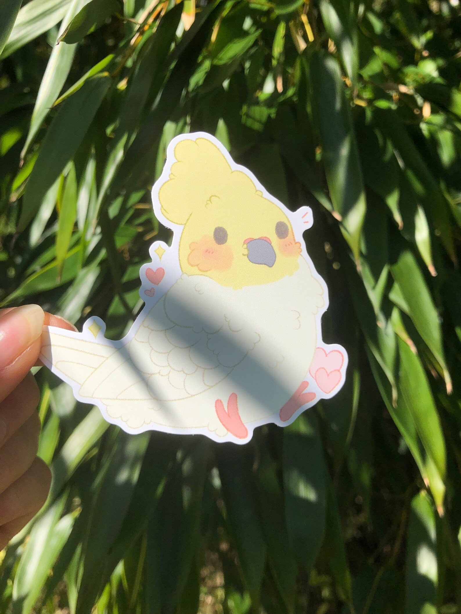 Cockatiel Sticker Cute Kawaii Borb Birb Sticker Hand Made Gift Pet ...