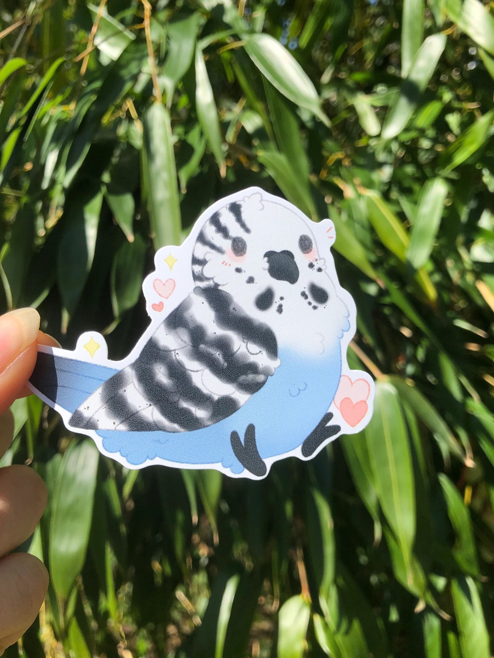 Budgie Sticker Cute Kawaii Borb Birb Sticker Hand Made Gift Pet Birds ...
