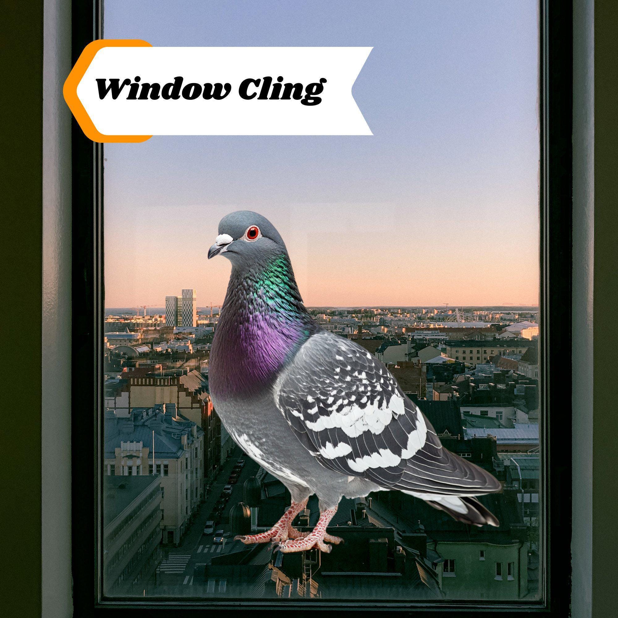 Rock Pigeon Window Cling Sticker Decal Window Film Gift for Bird Lovers ...