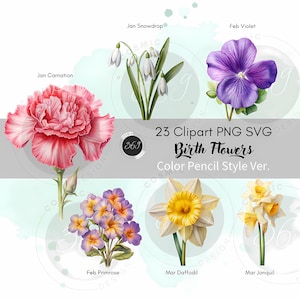 Paquete de imágenes prediseñadas de flores de nacimiento 23 flores del mes de nacimiento PNG SVG para uso personal y comercial, PNG de flores estilo lápiz de color, imágenes prediseñadas de flores de nacimiento