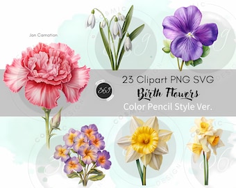 Birthflower Clipart Bundle 23 birth month flower PNG SVG for personal & commercial use, Color Pencil Style Flower PNG, Birth Flower Clipart