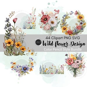 Clipart floreale selvaggio Clipart di fiori selvatici 44 Matita colorata Stile PNG SVG Bundle uso personale e commerciale, bordi floreali, risorse di design