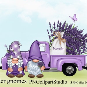 Lavender Gnome PNG