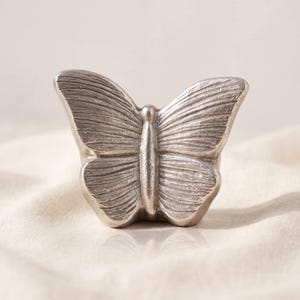 Butterfly Keepsake Urn for Ashes in Silver Studio