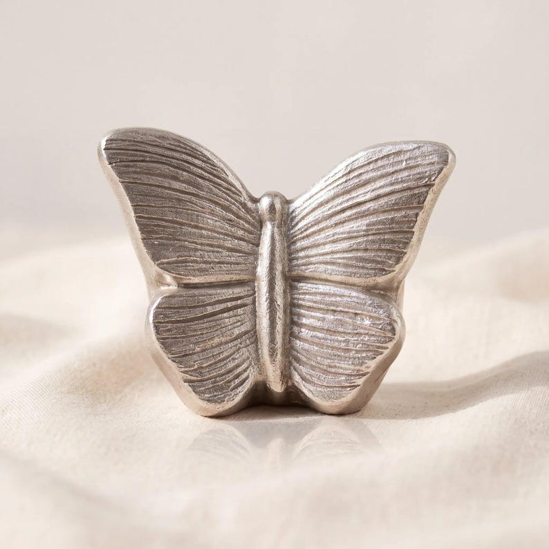 Butterfly Keepsake Urn for Ashes in Silver Studio