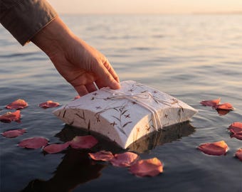 May include: A rectangular, off-white paper pillow box featuring a delicate, hand-drawn botanical pattern in brown ink. The box is tied with a thin, white string bow and is surrounded by scattered pink rose petals floating on water.