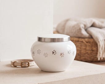 May include: A white ceramic urn with a rounded body and a silver-toned metal lid. The exterior of the urn features a repeating pattern of small silver paw prints encircling the middle. A small, light-colored pet collar with a metal buckle sits nearby.