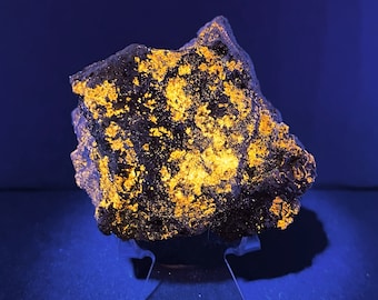 Sphalérite fluorescente LW avec galène et pyrite du Colorado USA Spécimen minéral