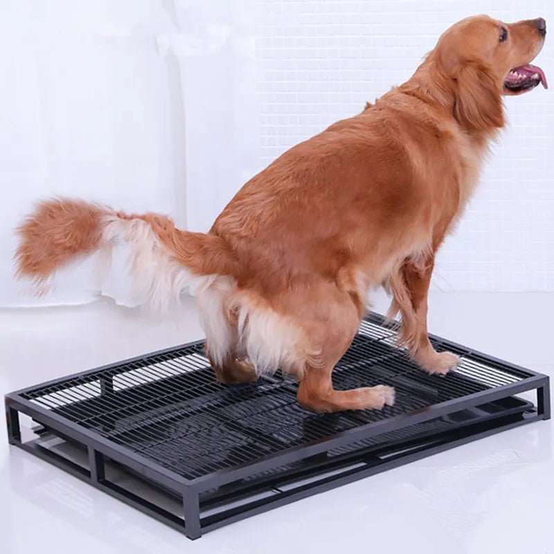 Ugodog indoor dog best sale potty
