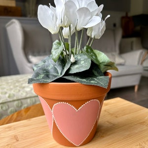 May include: A terracotta flower pot with a pink heart design painted on the front. The pot is decorated with white dots around the heart. A white cyclamen plant is growing in the pot.