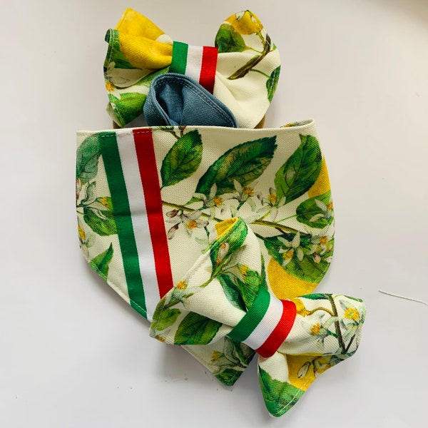 2 PC Tuscany Lemons Italian Flag Center Knot Bow Tie & Bandana Set