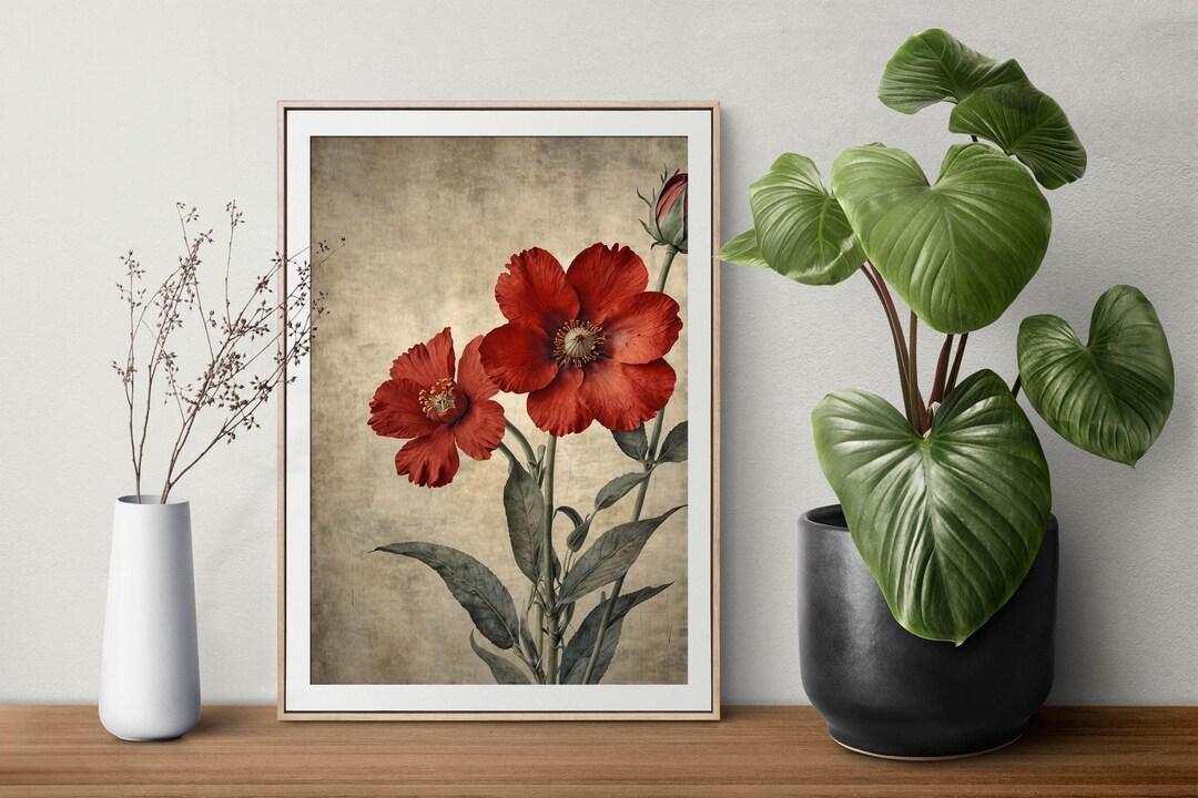 Vintage Red Poppy Flower Art Print Botanical Illustration Wall Decor - Etsy