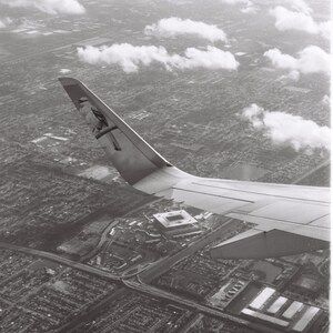 Print made from film negative