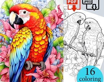 Parrots Flowers cute birds Coloring Book Adults Kids activity pages Digital sheets Printable PDF JPEG