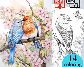 Cute Garden Birds Coloring Book Adults Kids relaxation activity pages Digital sheets Printable hd PDF JPEG