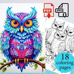 Owl Coloring Book Adults Kids activity pages Coloriage sheets Instant Download Printable PDF JPEG