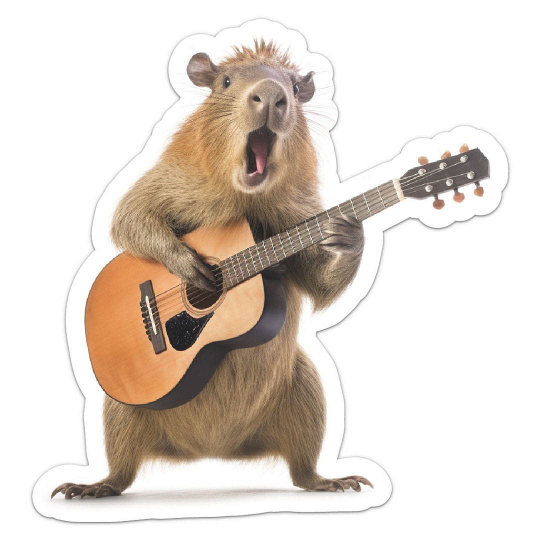 Rocking R Decal Rocking Capybara Sticker Vinyl Car Bumper Decal - Etsy