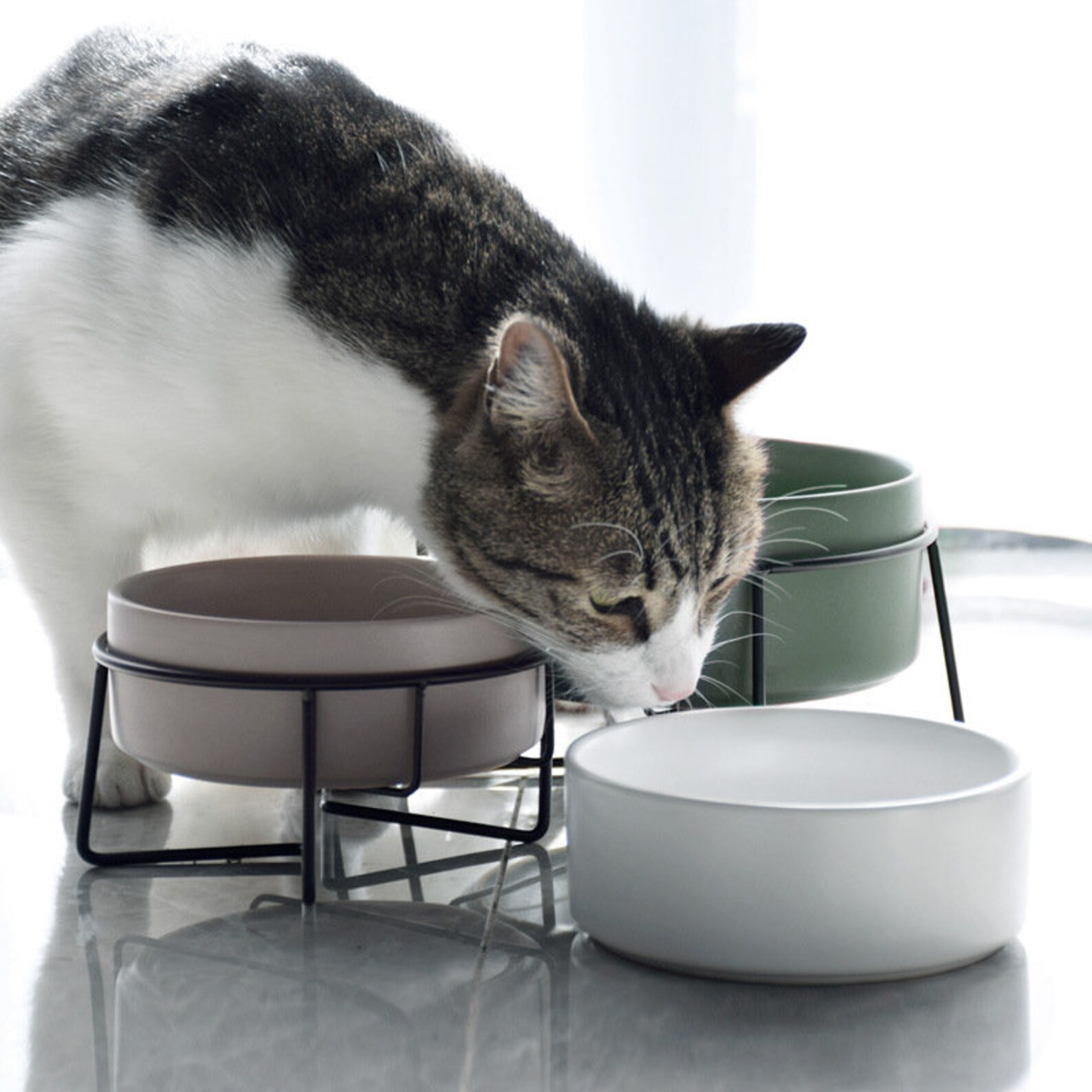 Stainless Steel Non Tip Cat Water Bowl Cat Bowls No Tip Water Bowl