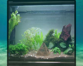 May include: A rectangular aquarium with a black frame, filled with aquatic plants, gravel, and a pyramid-shaped decoration. The tank features various shades of green plants, a dark red piece of driftwood, and a sandy substrate.