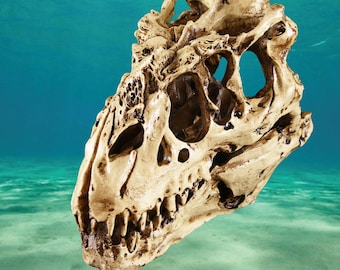 ジュラシック・ワールド水族館の装飾品 - Etsy 日本