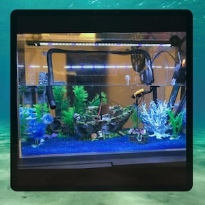5 options of Wrecked ship, Shipwreck decoration, sinked ship, wrecked boat,  Aquarium plants, Aquarium decor, fish tank decor, aquarium