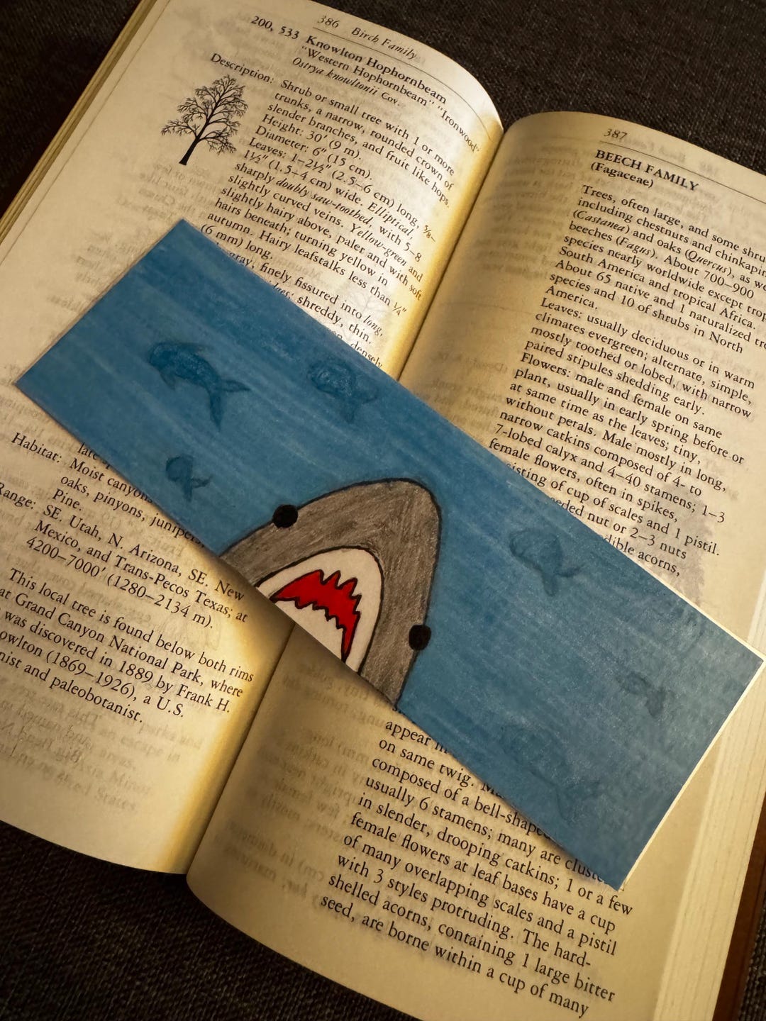Shark Bookmark - Handrawn and Laminated Gift for Readers - Etsy