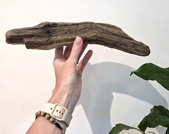 Tronco flotante para acuario procedente de Cornualles - para pecera o rama para reptiles (29 cm)