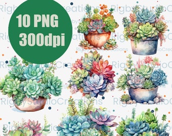 May include: Ten watercolor illustrations of succulent plants in pots. The succulents are in various shades of green, pink, and red. The pots are brown and have a watercolor texture.