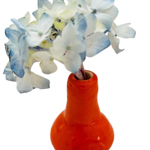 Könnte beinhalten: Eine kleine, orangefarbene Keramikvase hält einen Strauß Hortensienblüten. Die Blüten sind weiß mit blau gefärbten Spitzen. Die Vase hat einen abgerundeten Boden und einen schmalen Hals, wodurch ein einfaches, elegantes Blumenarrangement entsteht.