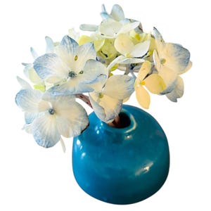 May include: A small, round, turquoise ceramic vase holds a bouquet of hydrangea flowers. The flowers are white with blue edges and yellow centers. The vase has a glossy finish and is set against a white background.