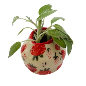 手作りの小さな陶器の花瓶：イチゴの陶器粘土の花瓶