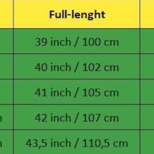 Glossy Green PU Nylon Joggers – Glossy Track Pants with Breathable Mesh Inner Lining & Sleek Zipper Details image 9