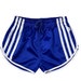 see more listings in the PU / Satin Shorts section
