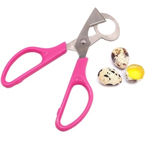 Quail Egg Scissors, Free Shipping! Pigeon Eggs, Farm Fresh Quail Eggs, All Natural Quail Eggs, Eggs, Quail Egg Nutrition, Quail