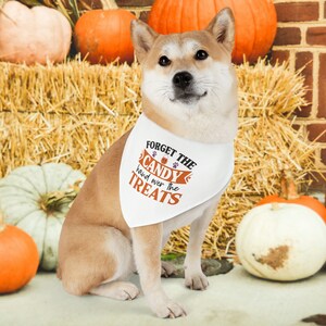 Halloween Dog Collar | Pet Bandana Collar | Halloween Dog Bandana | Hand Over the Treats Dog Collar | Trick or Treat Dog | Halloween Gift