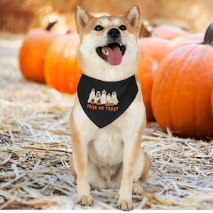 Dog Ghosts Halloween Dog Collar | Pet Bandana Collar | Halloween Dog Bandana | Black Ghost Bandana | Pet Owner Gift | New Pet Owner