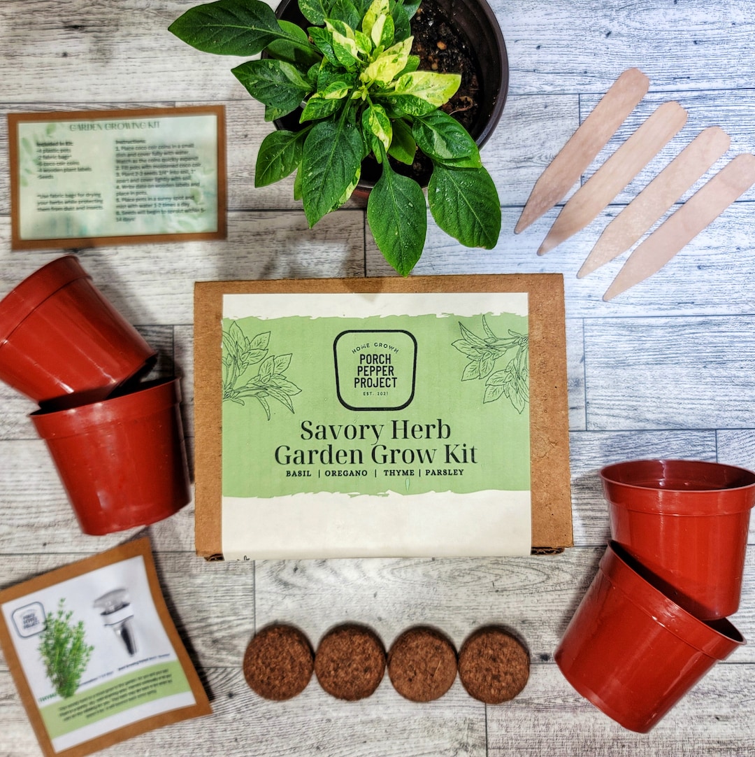 Savory Herb Garden Starter Grow Kit Etsy