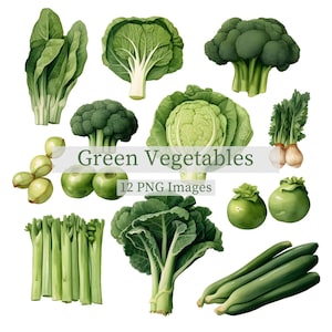 Vegetable Clipart - Veggie Clipart - Vegetables Clipart - Food Clipart - Watercolor Vegetable - Green Vegetable Clipart - Vegetable Clip Art