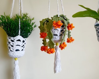 Crochet Plant Holder Pattern