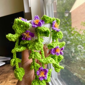 May include: A crocheted hanging plant with green leaves and purple flowers. The plant is hanging from a hand.