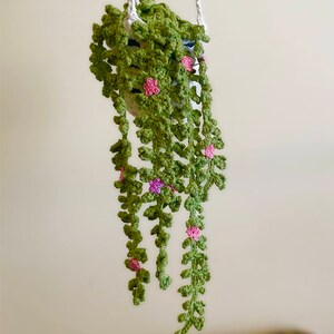 May include: A crocheted hanging plant with green leaves and pink flowers. The plant is hanging from a white string.
