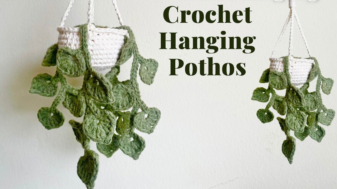 Crochet Mini Hanging Money Plant Pattern Etsy