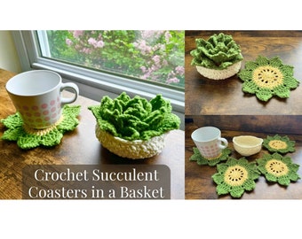 Crochet Succulent Coasters in a Basket Pattern