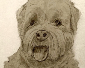 May include: A pencil drawing of a dog's head, featuring a light brown, textured coat and an open mouth with its tongue showing. The dog's eyes are dark and detailed. The artwork is set against a white backdrop.