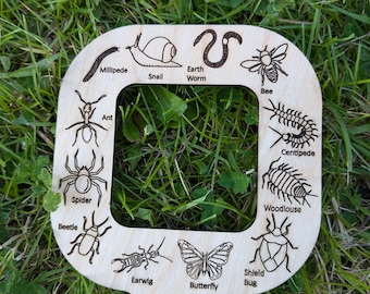 May include: Wooden cutout of a magnifying glass with various insects and other small creatures, including a spider, beetle, butterfly, centipede, and earthworm. The text on the cutout includes the names of each creature.